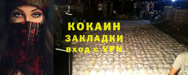 дживик Алексин